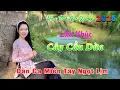 Download Lagu 28 Bài Dân Ca Miền Tây NGỌT NHƯ RÓT MẬT Nghe Cả Ngày Không Chán - LK Nhạc Dân Ca Quê Hương Miền Tây