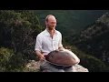 Seeds of Growth (1111hz) | 1 hour handpan music | Malte Marten