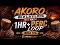 AKORO - Mr M & Revelation Feat. Able C - Perc Loop | 1Hour Loop | BPM 126