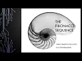 Fibonacci Sequence using For Loops in C Programming