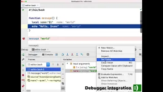 Debugging Bash Scripts with BashSupport Pro and a JetBrains IDE