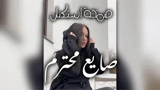 صايع محترم استكنان صمخة مصري  هجولة طربية     مطلوب أكثر شيء   ترند        دندنها