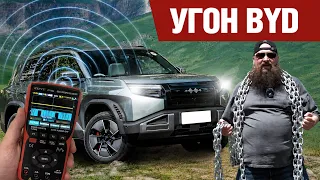 Угон BYD: охота на Леопарда
