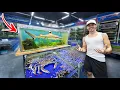 Exposing This Illegal Fish Market The Shark Trade