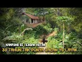 Download Lagu TERSESAT DAN KETEMU..!! KAMPUNG TERSEMBUNYI DI TENGAH HUTAN, DENGAN JALAN SETAPAK BEBATUAN