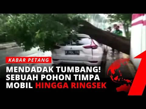 Tertimpa Pohon Tumbang, Atap Minibus Ringsek Parah