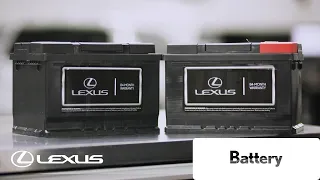 Lexus Service - Battery Lexus