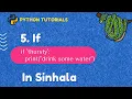 5 If Statement Python 3 Programming Tutorials in sinhala