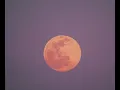 Strawberry supermoon and rare planet parade will soon light up N J sky