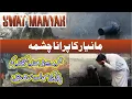 Download Lagu Manyar Beautiful Spring of Swat || History of The Spring || Loyal Swat
