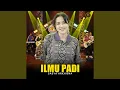 Download Lagu Ilmu Padi
