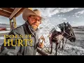 How to Freeze Brand A Horse
