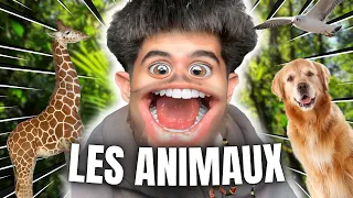 LES ANIMAUX - IMDYLANOFF