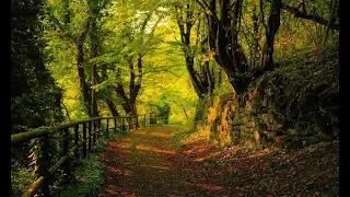 رنة نغمة ياحامل القرآن رنات نغمات إسلامية للموبايل للهاتف 