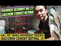 TERNYATA SESIMPEL INI GACORIN CENDET BETINA ‼️ ASALKAN KITA BISA LAKUKAN INI..⁉️