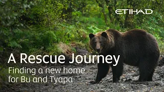 A Second Chance for Bu and Tyapa, A Rescue Journey I Etihad Cargo