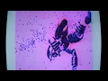 AVEM & ARUTANI - CHROMA (OFFICIAL VIDEO)