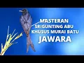 Download Lagu MASTERAN SRIGUNTING ABU - khusus untuk murai batu jawara