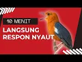 Lagu LANGSUNG NYAUT 10000 % ‼️ ANIS MERAH MACET BUNYI JIKA DENGAR SUARA INI PASTI NYAUT LANJUT GACOR | 34