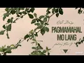 Download Lagu Pagmamahal Mo Lang - OC DAWGS  (Audio)