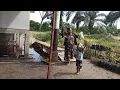Download Lagu REZEKI DARi ORANG BAIK ⁉️ TERIMAKASIH KAKAK ASMA SEMOGA REZEKI NYA MENGALIR SEPERTI AIR AMIN 🙏