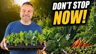 Your Garden Isn’t Done! What to Plant in September