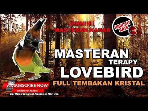 Download MP3 🔴 Masteran Suara Lovebird Kasar Full Tembakan Speed Rapat Dengan Suara Air & Jeda Sangat Efektif