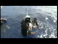 NO LIMITS Freediving Record