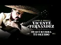 Vicente Fernández - De Qué Manera Te Olvido (Letra/Lyrics)