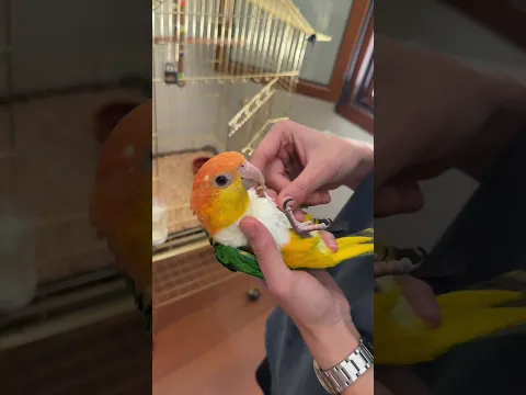 Hepsi iyiydi de kızımdan yanlışlıkla biraz fazla aldık