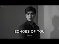Download Lagu Echoes of You - Lyrical Soul [Official Music] MP3