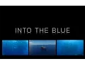 Download Lagu 4k Into the Blue - Sunshine in Halmahera