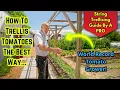 Master Tomato Trellising with a World Record Grower Tips Advice