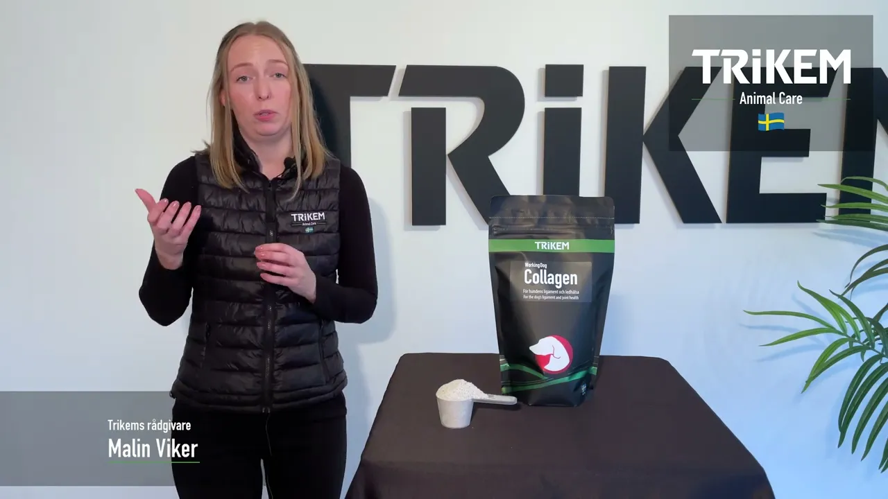 Feed supplement - Trikem WorkingDog Collagen 350 gr.