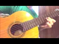 Zamba para no morir Hernán Figueroa Reyes cover guitarra fingerstyle