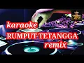 karaoke || rumput tetangga || dj remix