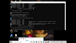 Create a basic Blackjack game in terminal with python