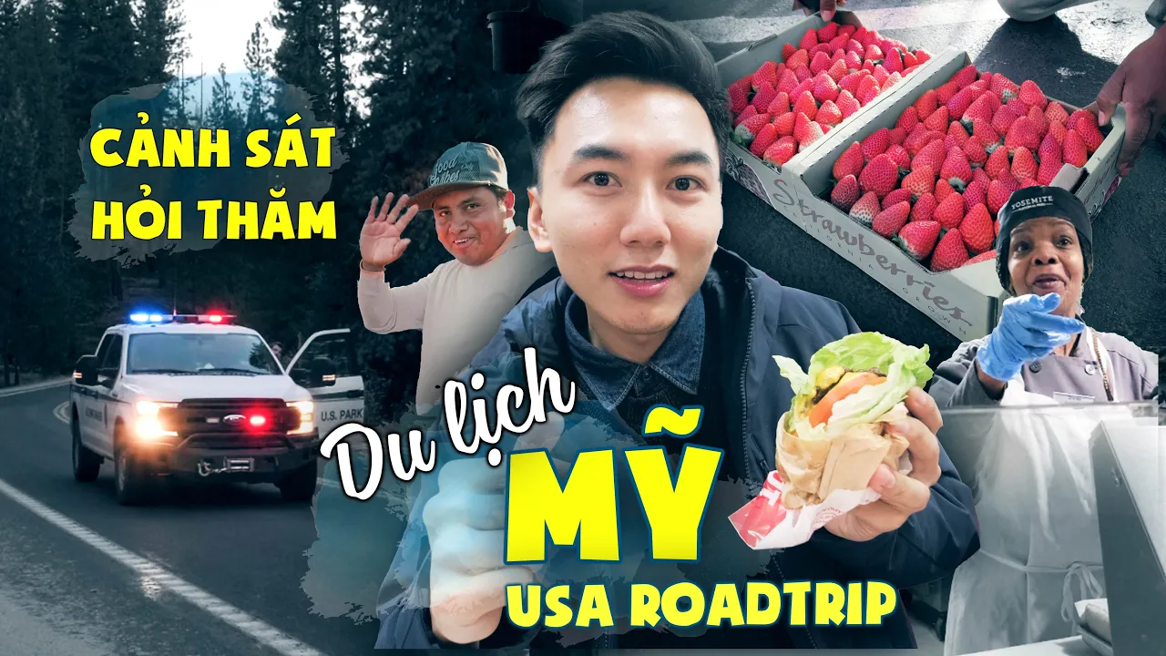 Outline Video Du lịch Mỹ tự túc #2: Thẳng tiến rừng sâu đầy tuyết |USA trip