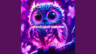 Moonlight Shadow Nightcore  Moonlight Shadow Nightcore