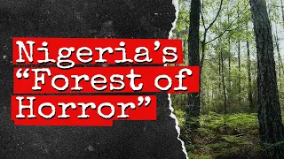 nigerias 