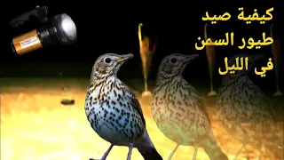 كيفية صيد طيور السمن في الليل ٢٠٢٢  كيفية صيد طيور السمن في الليل ٢٠٢٢