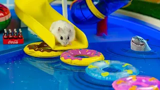 Download 🐹MEGA HAMSTER RACE 🐹 maze with Traps hamster🐹 Minecraft Maze😱[OBSTACLE COURSE]😱 MP3