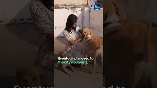 Meet the Woman Feeding 250 Stray Dogs Every Single Day thumbnail