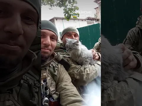 Киця проводжає на завдання