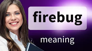 Firebug FIREBUG definition