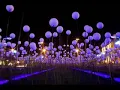 Fritz Kalkbrenner -Grove.flv