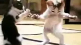 اغنيه مسخره ل اسم ندي 