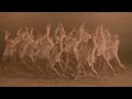 Max Richter - The Four Seasons (Dance Video)