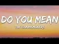 Download Lagu The Chainsmokers - Do You Mean (Lyrics) ft. Ty Dolla $ign, bülow