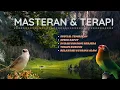 Lagu MASTERAN SPECIAL TEMBAKAN Lovebird VS Cigun \u0026 TERAPI SUASANA ALAM UNTUK MURAI, KACER, CUCAK IJO dll.